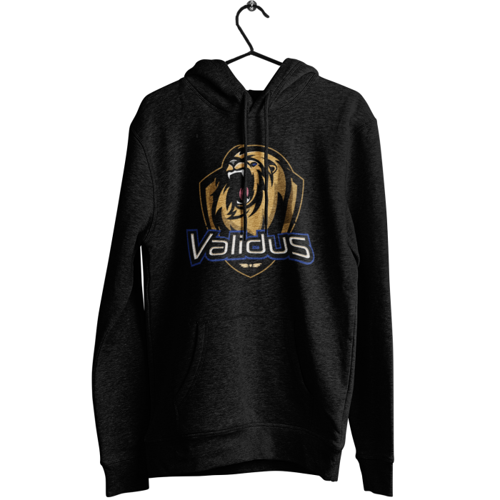 Team Validus Standard Logo